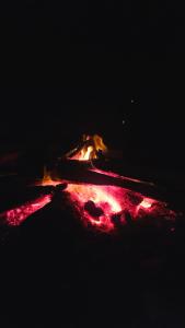 Green lake view resort cottage