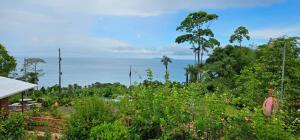 Cabinas Paraíso Corcovado