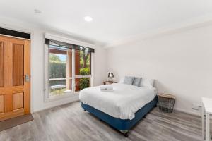 Box Hill Studio Apartment 2