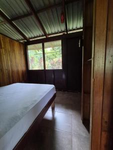 Beachfront jungle cabin