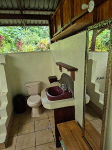 Beachfront jungle cabin