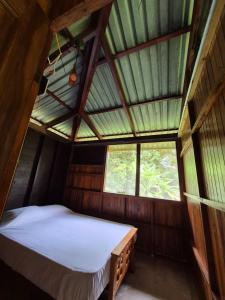 Beachfront jungle cabin