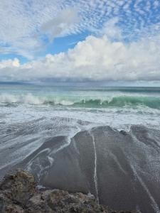 Beachfront jungle cabin