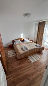 Apartament ilie