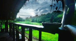 Aliya Safari Treehouse