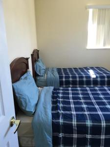 Miami Coral Gables Apartment