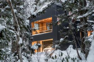 Phoenix Cocoon by HHG