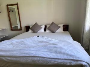 Nivrritii 3BHK Villa with hill and forest views