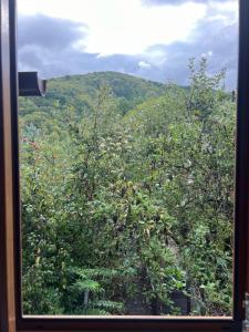 Котедж Гірський