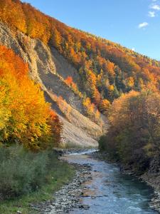 Котедж Гірський