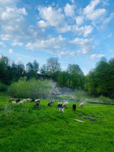 Котедж Гірський