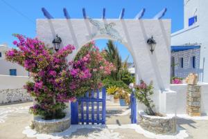 Evi's Studios Amorgos Greece