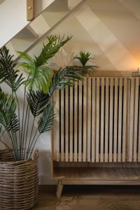 Aurora Valley Escape Apartment 9