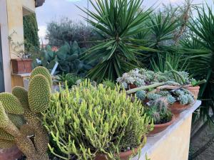 Ostia Antica Country Garden Villetta