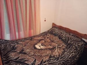 πλατανα Αστρους Αρκαδίας χωριατικο σπίτι για φυση και ηρεμία