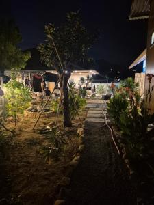 Cây Trôm Homestay 1