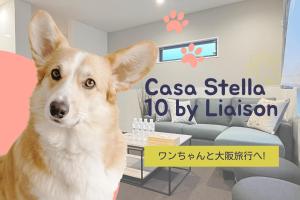 Osaka - House - Vacation STAY 20384