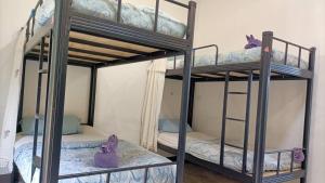 LUCKY PAI Resort&Hostel