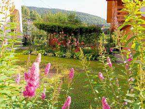 Апартаменти з двома спальнями і кухнею