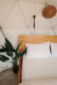 Amoss Farmstay