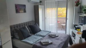 Harmony Srebrno jezero