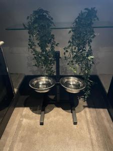 Cozy house with garden