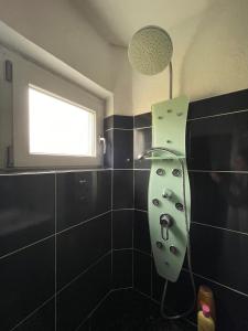 Cozy house with garden