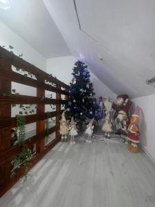 Dream House Porumbacu