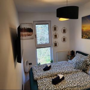 Green Apartament Chill Modlin Airport