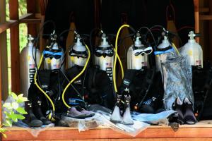 Indos Dive Homestay-Raja Ampat