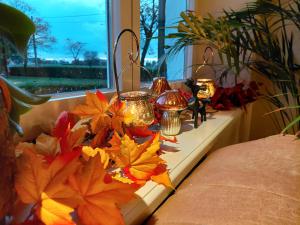 B&B Den Bruynen Bergh