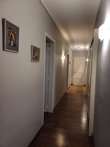 very bright and quiet apartment downtown