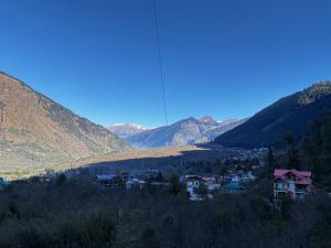 House of Paws Manāli