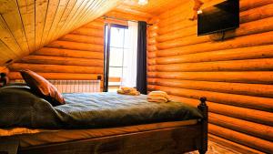 Cabana Valea Bistrei