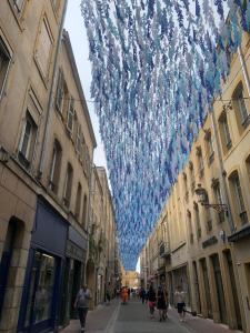 Au petit cœur Messin chaleureux T2 entièrement rénové