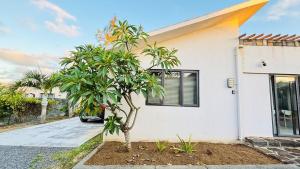 Sunshine & Serenity Suite-Private parking and Pool-Grandbaie