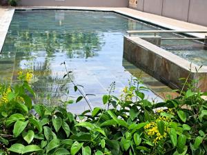 Coconut Palm Retreat