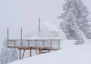 Alpin DHôme Hôtel & Spa