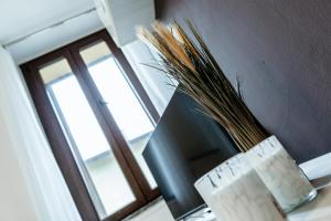 Appartamento Alice a Malpensa Aeroporto