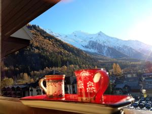 Le Chamois 5E Balcon panoramique MontBlanc avec parking gratuit