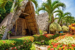 Tiki Hut Hostel