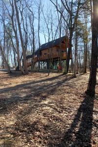 Magical Tree House Experience with a Private Hot Tub in Shenandoah Valley, Virginia