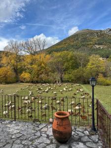 Charming Stone House in Provence