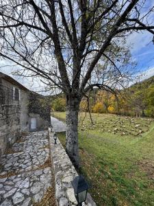 Charming Stone House in Provence
