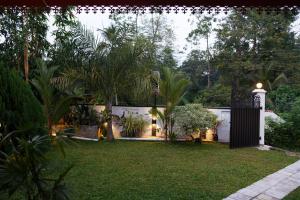 Tropical Garden