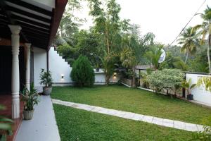 Tropical Garden