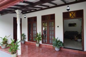 Tropical Garden