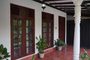 Tropical Garden