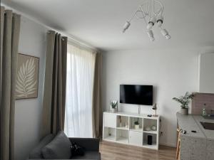 Apartamenty Lubin