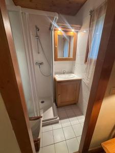 CHALET INDIVIDUEL BISANNE 1500 - Les saisies